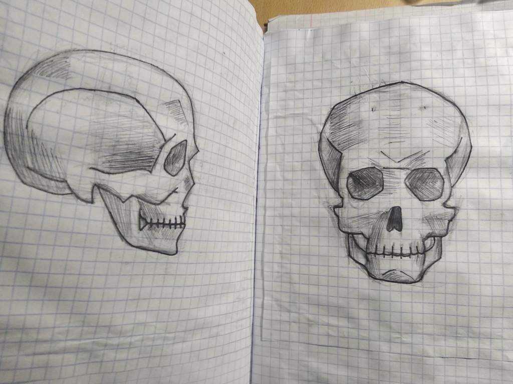 Как нарисовать череп поэтапно карандашом: легко и просто для детей, мастер-класс для начинающих от художников