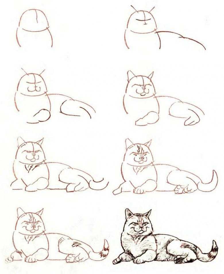 Как рисовать кошек. поэтапное руководство по рисованию котов и кошек