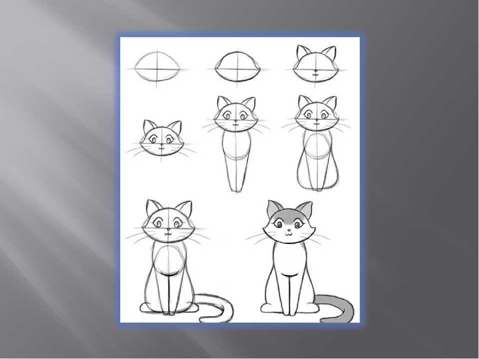 Что можно нарисовать 4 класс. Этапы рисования кота для детей. Этапы рисования кошки для дошкольников. Поэтапное рисование кошки. Кот для рисования.