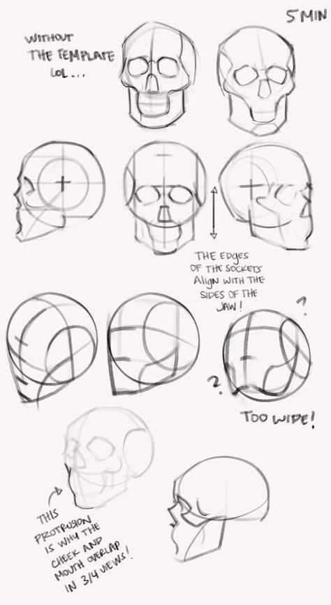 Как нарисовать голову человека? пропорции головы и лица