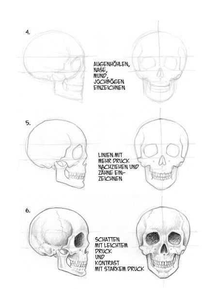 ✅ как рисовать череп карандашом. рисуем череп - sergey-life.ru