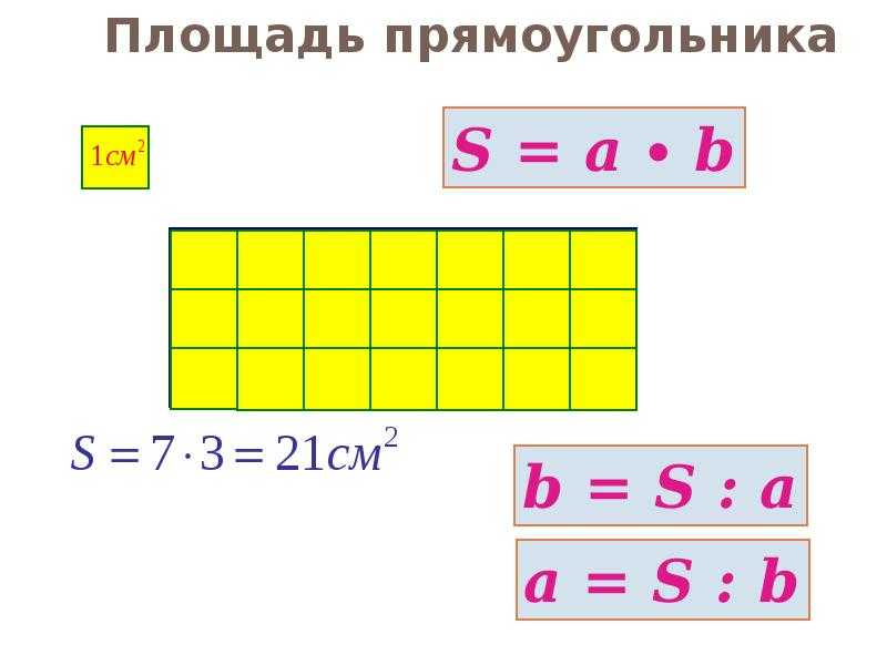 Длина прямоугольника ️ определение, обозначение, формулы для нахождения через высоту и диаметр, правила вычисления по ширине и площади