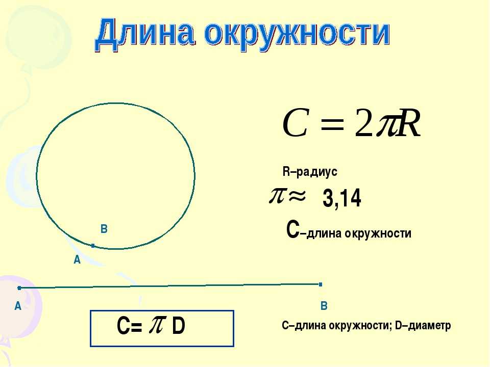 Как рассчитать длину окружности и периметр круга?