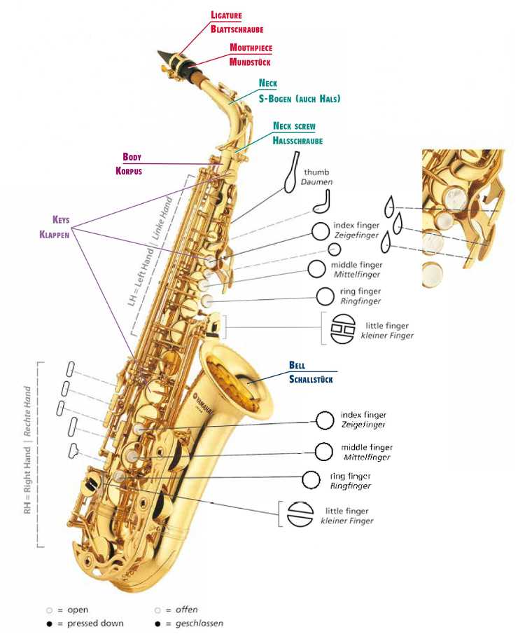Как устроен саксофон схема - 92 фото