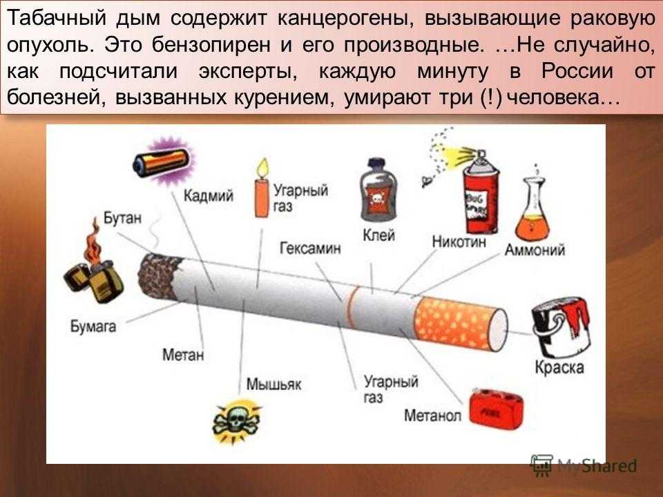 Влияние табачного дыма на организм человека проект