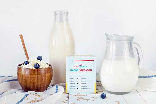 Как быстро сквасить молоко? кисломолочные продукты в домашних условиях