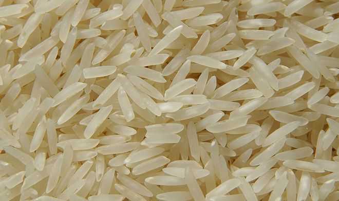 Как и сколько варить рис длинный, басмати, жасмин, рассыпчатым в домашних условиях в кастрюле, пароварке и мультиварке