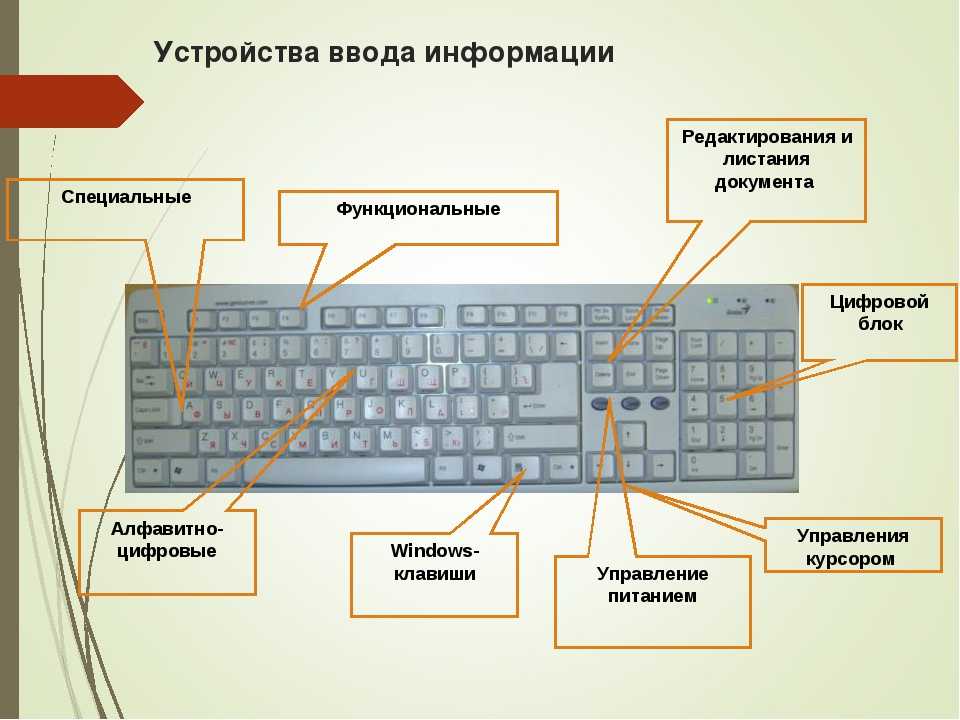 Можно ли на компьютере. Управление с клавиатуры без мышки. Как управлять клавиатурой без мышки. Управление клавой без мышки. Как без мышки управлять компьютером с клавиатуры.