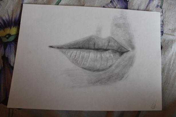 Как нарисовать губы начинающим - пошагово рисуем губы карандашом