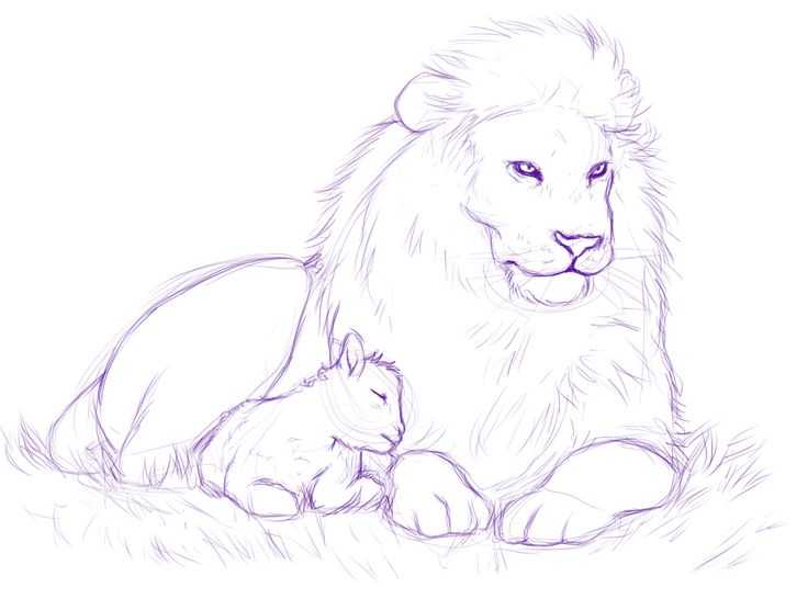 Как нарисовать льва своими руками поэтапно: урок рисования карандашами и красками для детей