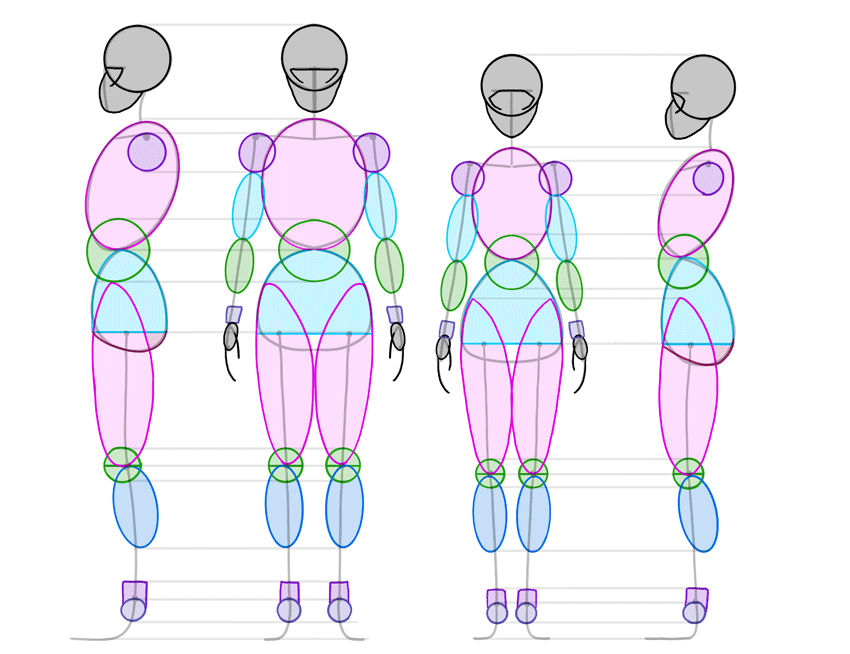 Учимся рисовать тело человека поэтапно