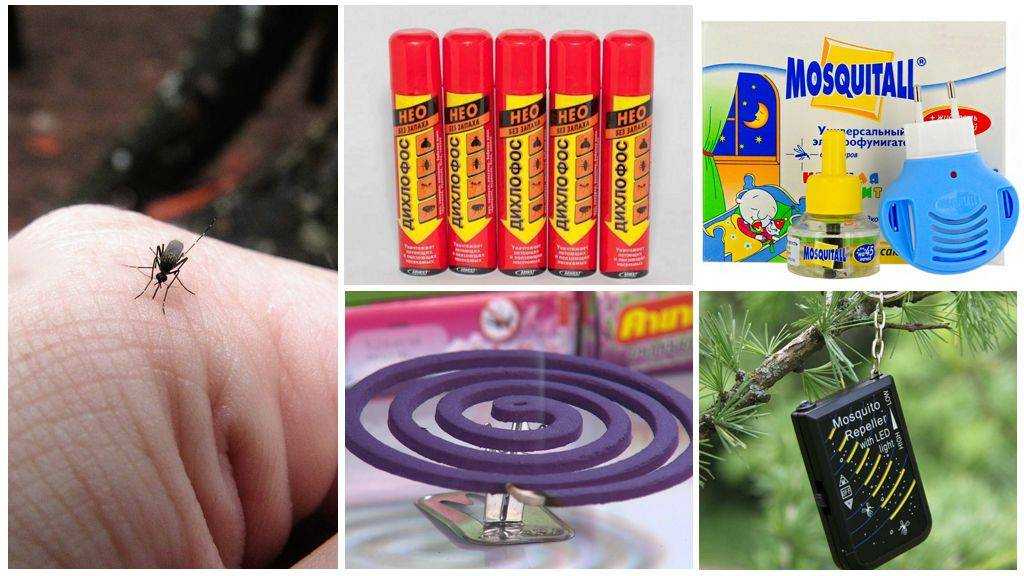 Масло гвоздики от насекомых: комаров, мошек, клещей