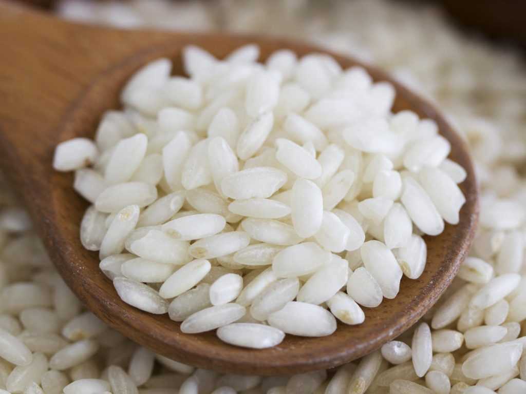 Что такое рис «арборио» и в каких блюдах его применяют
