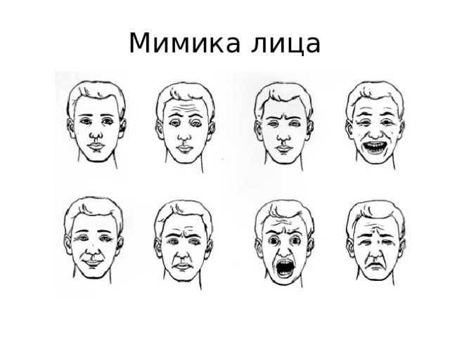 Мимика лица