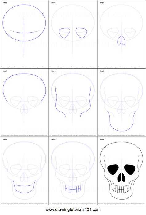 Как нарисовать череп карандашом (76 фото): поэтапная инструкция для начинающих