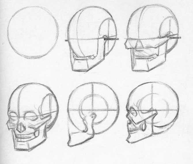 Как нарисовать череп (с иллюстрациями) - wikihow