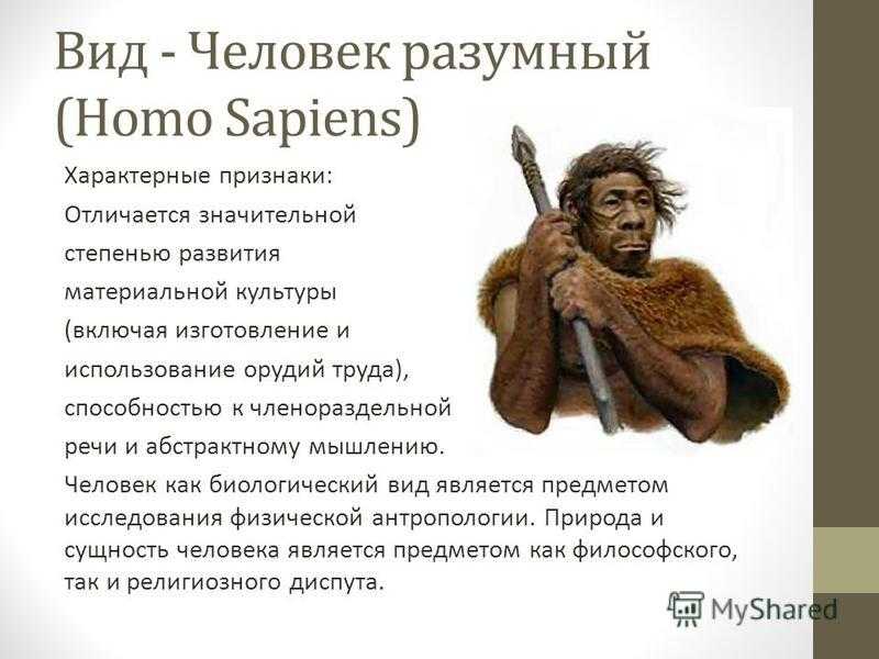 Полный список профессий связанных с компьютером и информатикой