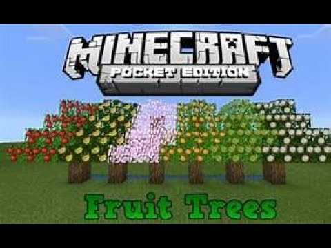 Как вырастить хороший сад в Minecraft Итак, вы играете в Minecraft и хотите обзавестись приличным садом Для тех, кто играет в режиме выживания, еда является важным ресурсом, а сад, соответственно – отличным источником этого ресурса