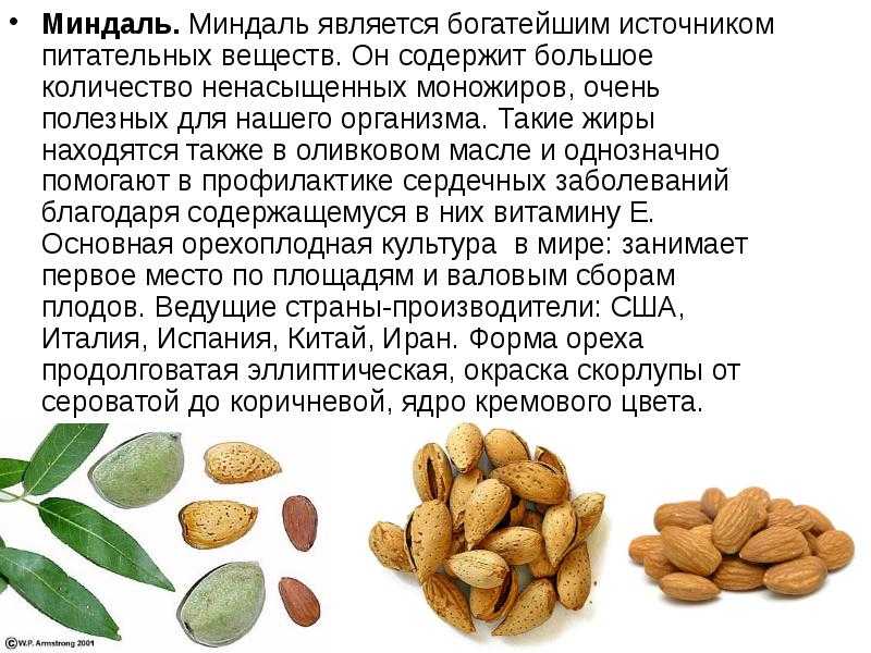Как жарить шашлыки: 11 шагов (с иллюстрациями)